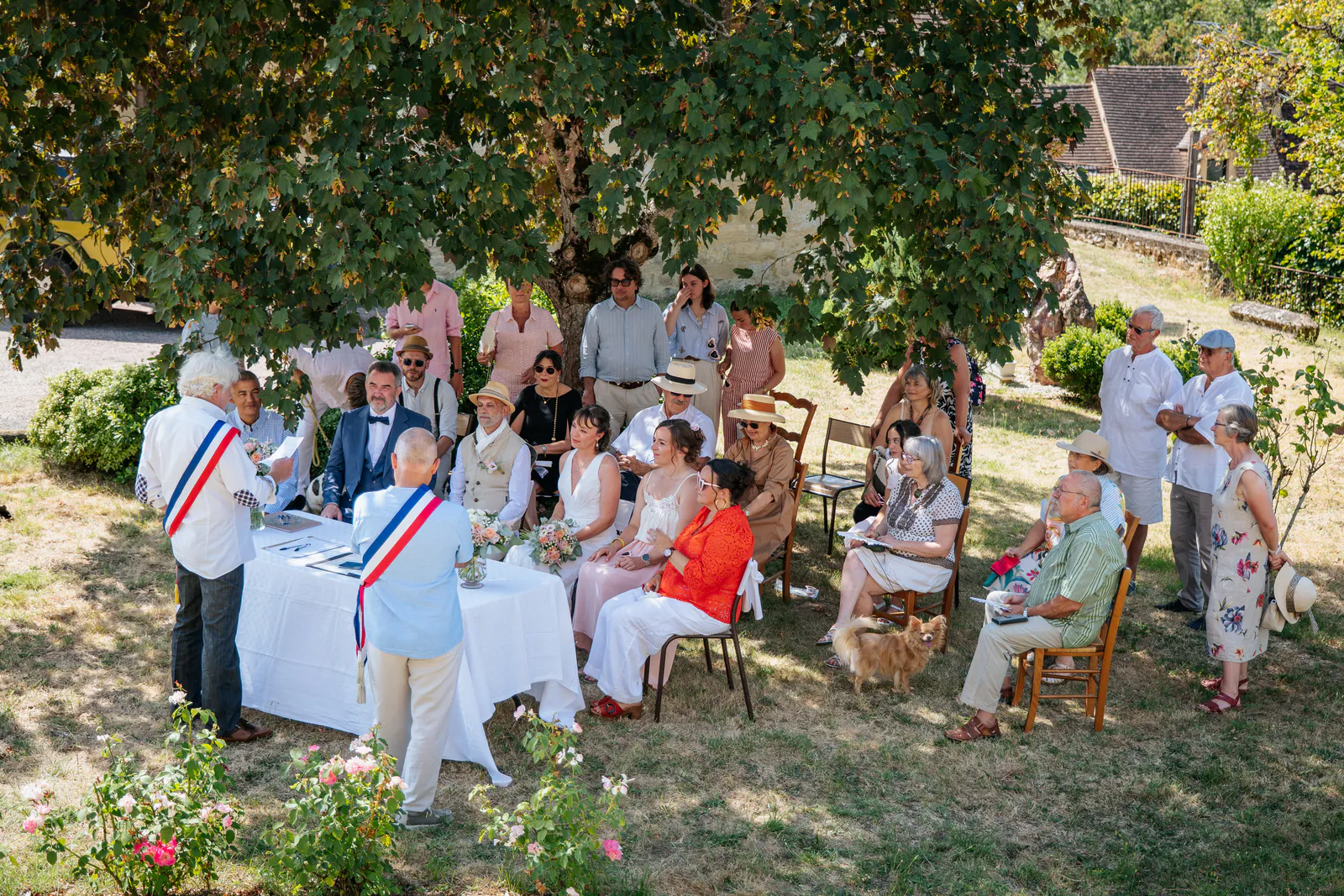 Une cérémonie civile en plein air réunit les mariées et leurs proches sous un grand arbre.
